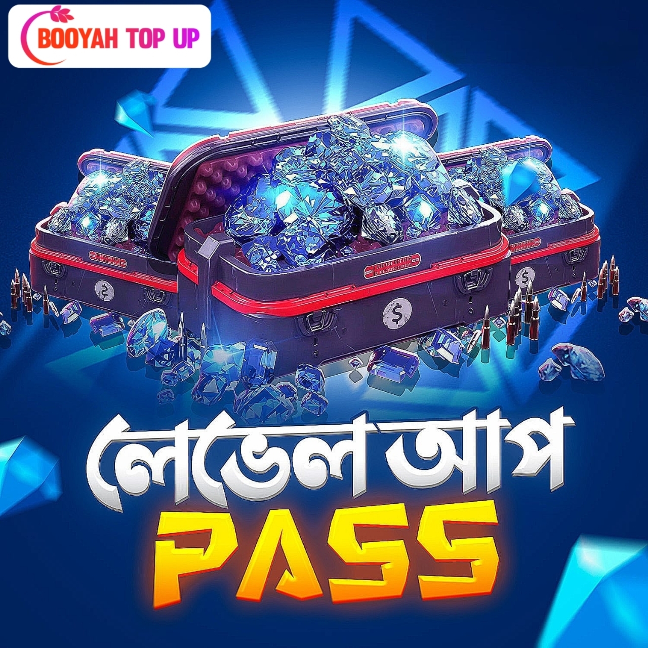 LEVEL UP PASS